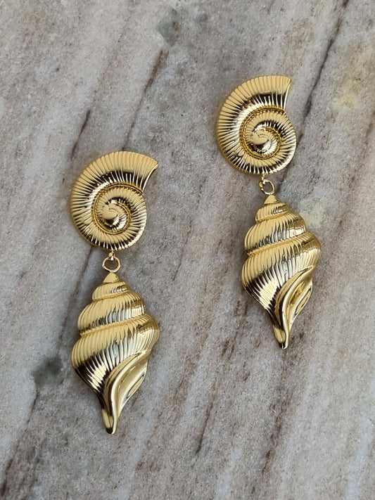 Steel shell earrings