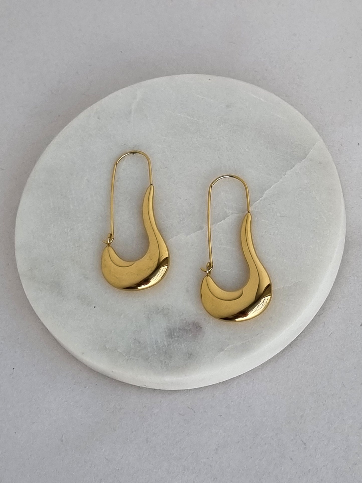 Steel dangle earrings